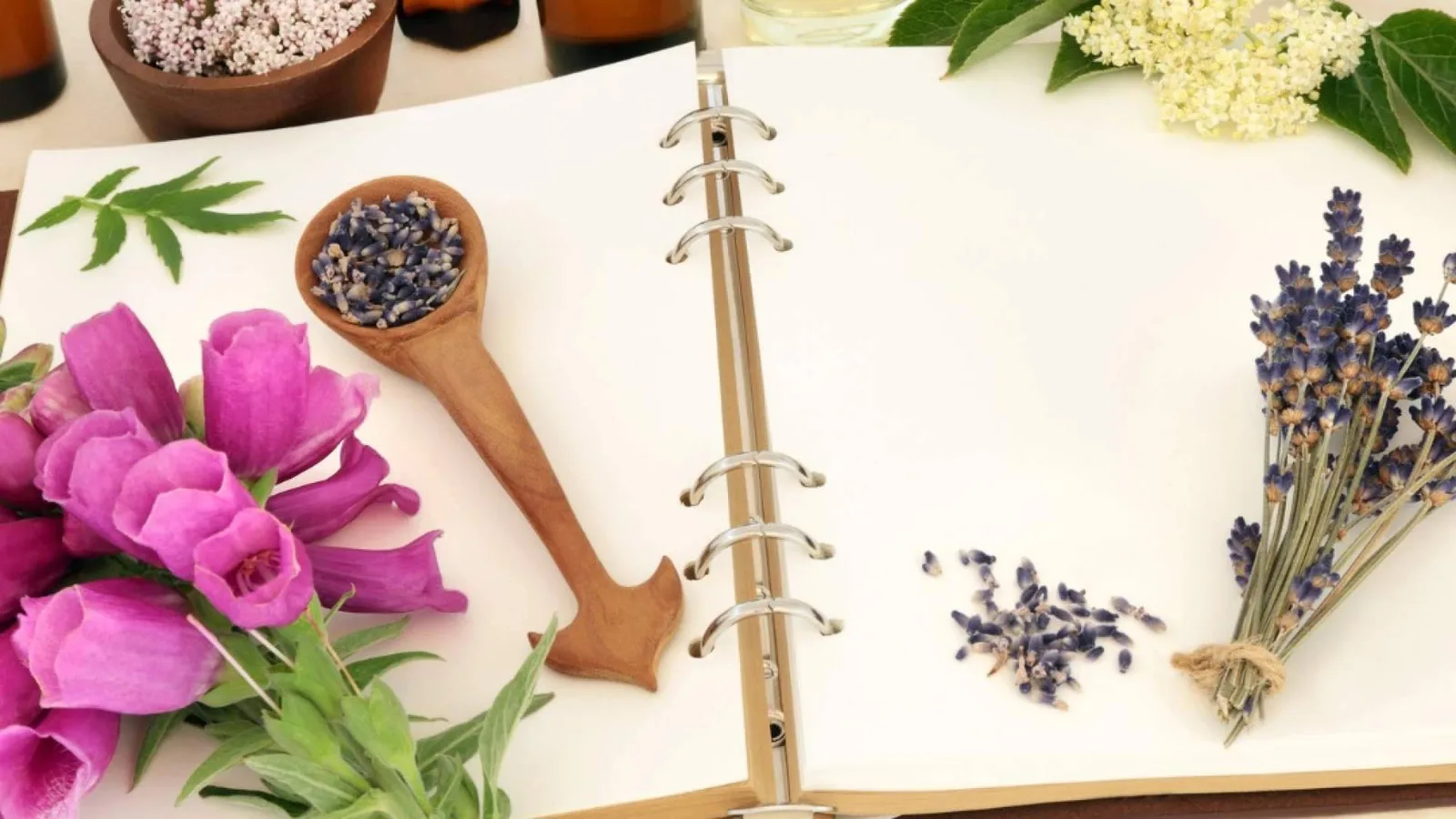 44 años de formación avalan el 'Máster en Naturopatía' de ISED Expert para profesionales del bienestar